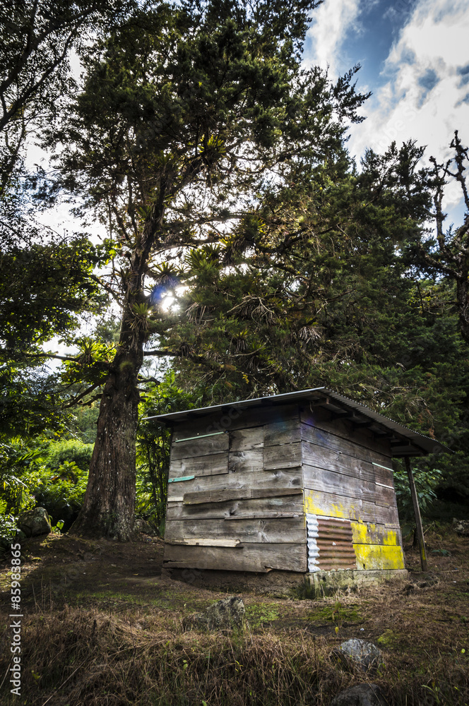 Hütte im Wald Hütte im Wald
