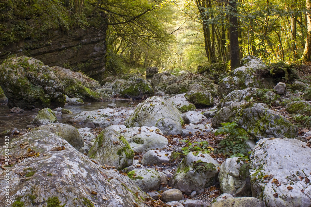 River stream in colorful autumn forest in Slovenia