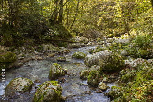 River stream in colorful autumn forest in Slovenia