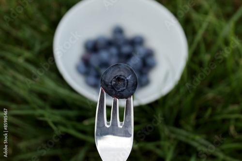 Blauebeere auf Gabel