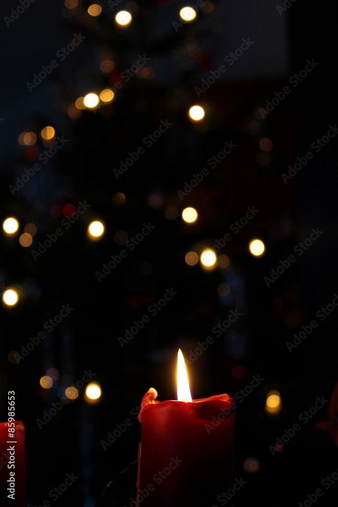 Kerze vor Tannenbaum Kerze vor Tannenbaum