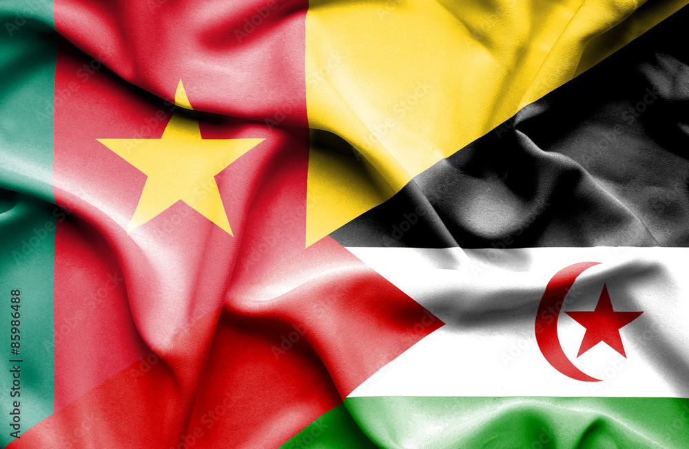 Waving flag of Western Sahara and Cameroon Waving flag of Western Sahara and Cameroon