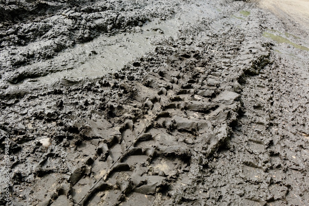 Imprint automobile tires on dirt