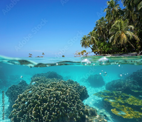 Over under sea tropical shore and coral underwater