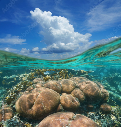 Over-under sky cloud and coral reef underwater