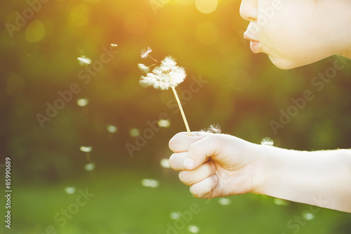 Close-up portrait of child blowing white dandelion. Background t