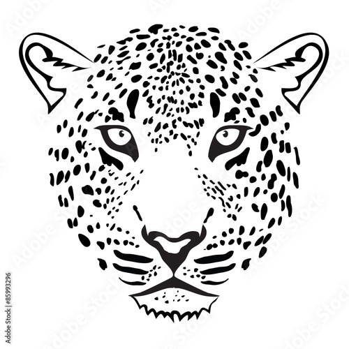 Leopard Head illustration vector