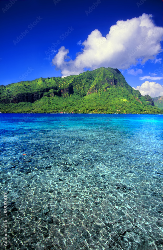 French Polynesia Tropical Scenery