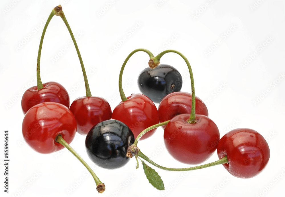rote und schwarze Kirschen Freisteller rote und schwarze Kirschen Freisteller