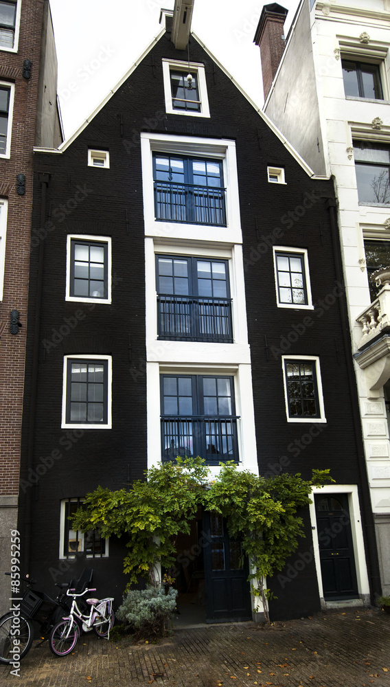 Naklejka premium Tall Amsterdam Black and White House