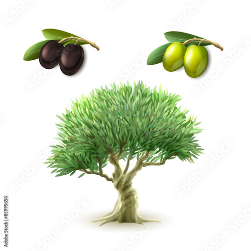 Olive oil primary products set