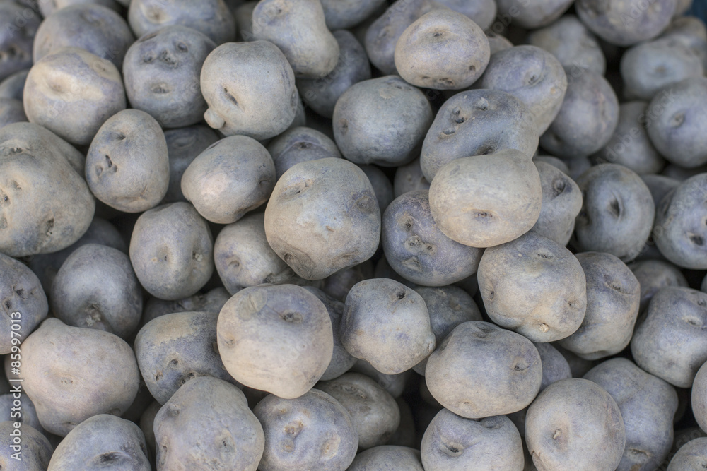 Potatoes in a Peru marketplace in Arequipa.