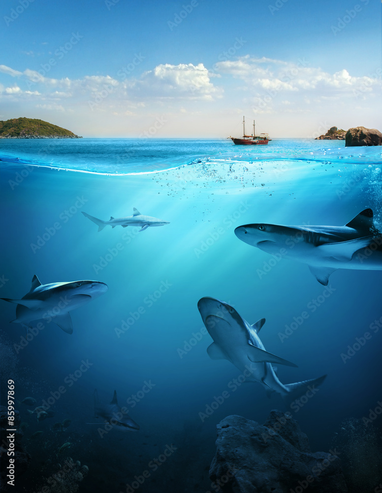 Naklejka premium Design template with underwater part 