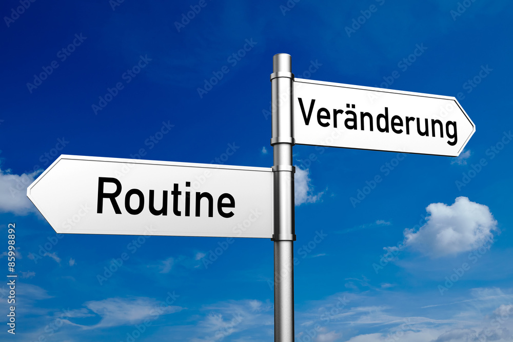 Entscheidung zwischen Routine und Veränderung Entscheidung zwischen Routine und Veränderung