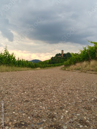 Weinbergweg mit Burg Beilstein
