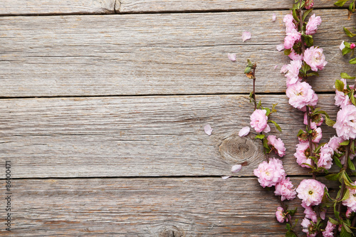 Spring flowering branch on grey wooden background