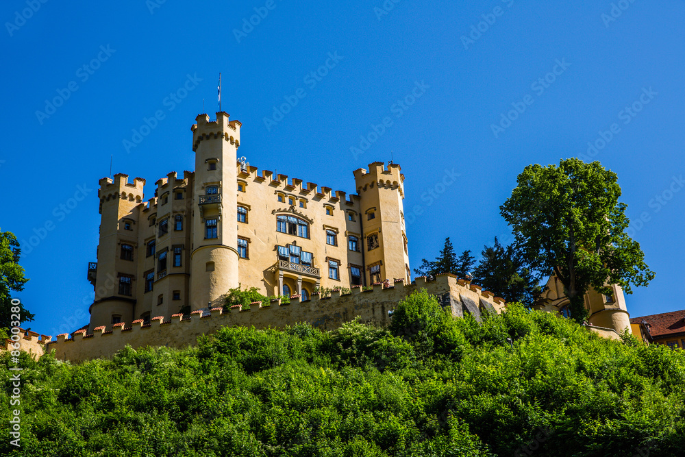 Schloss Hohenschwangau in den Alpen