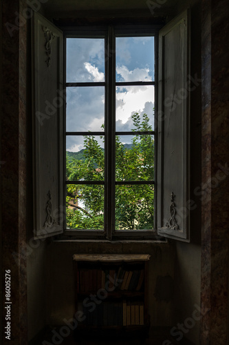 Window and Bookcase