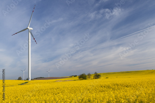 Wind turbines on the rape meadow (Poland)