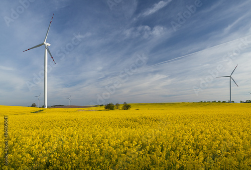 Wind turbines on the rape meadow (Poland) © arturko