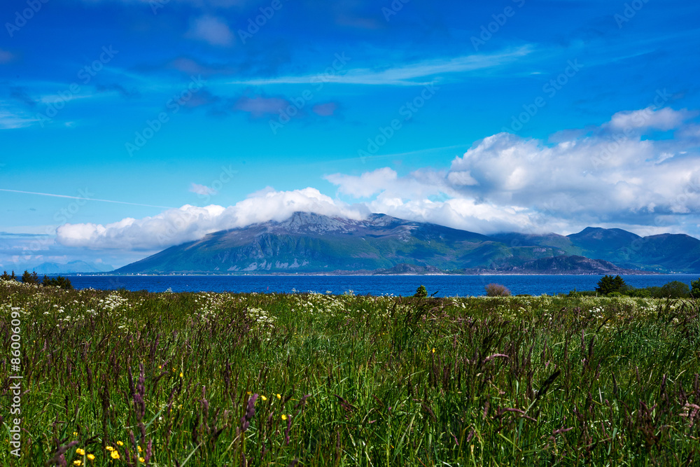 Fototapeta premium meadow in norway