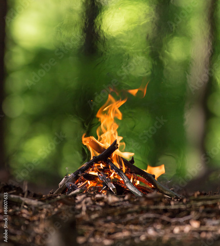 Bonfire in spring forest