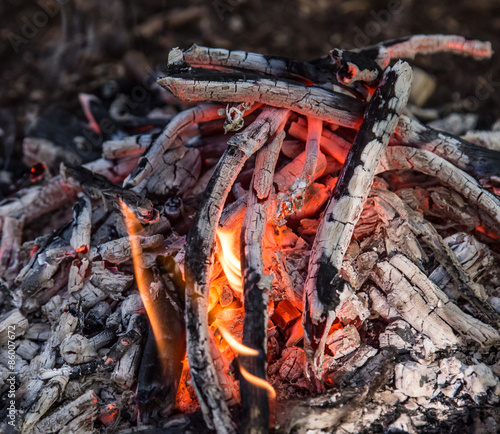 Bonfire in spring forest © Lukas Gojda