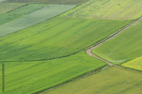 Widok pól latem