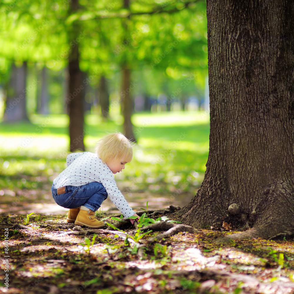 Toddler boy playing in the park Toddler boy playing in the park