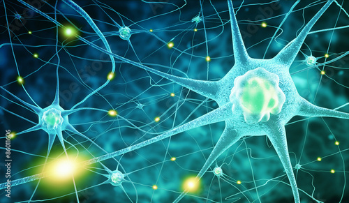 Quadro su tela nerve cells