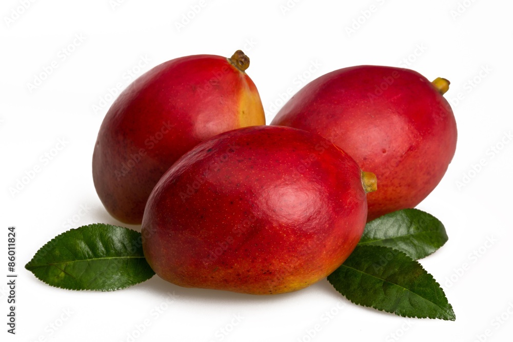 Fototapeta premium Mango, Tropical Climate, Fruit.