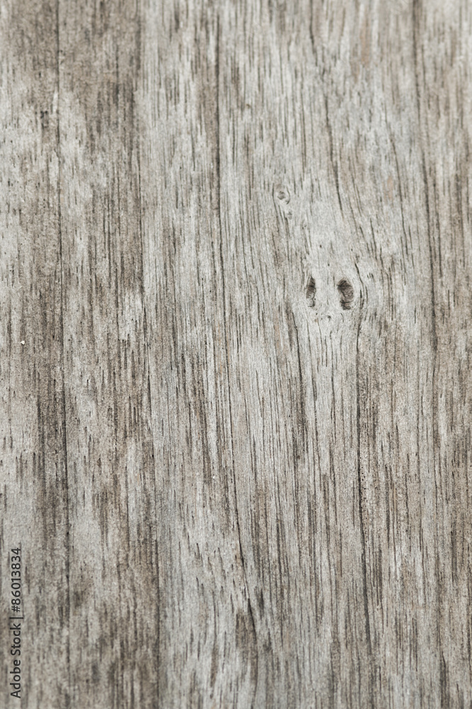 Fototapeta premium Wood Texture 02