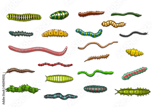 Crawling caterpillars and worms in cartoon style photo
