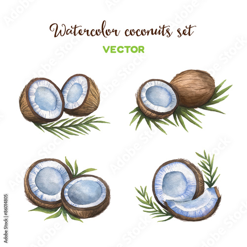 Watercolor coconuts set. Vector illustration.