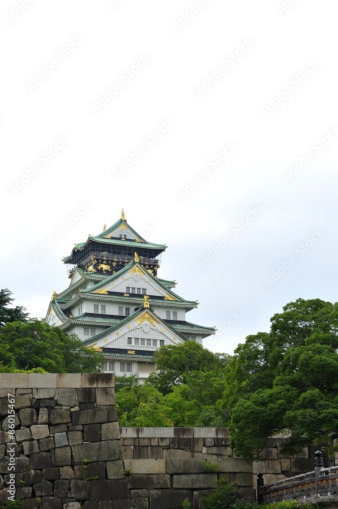 Fototapeta premium 大阪城の景色