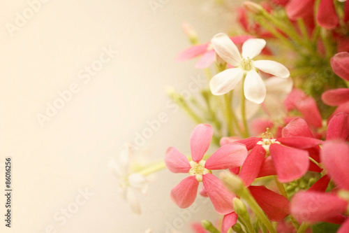 sweet color flowers in soft style on mulberry paper texture for background  