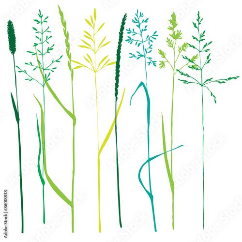 Set of grass silhouettes