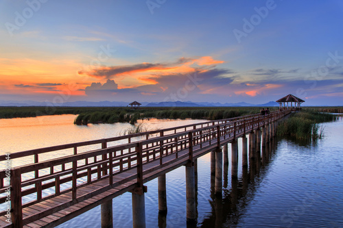 Wooden Bridge in lotus lake on sunset time at Khao Sam Roi Yot National Park  Thailand