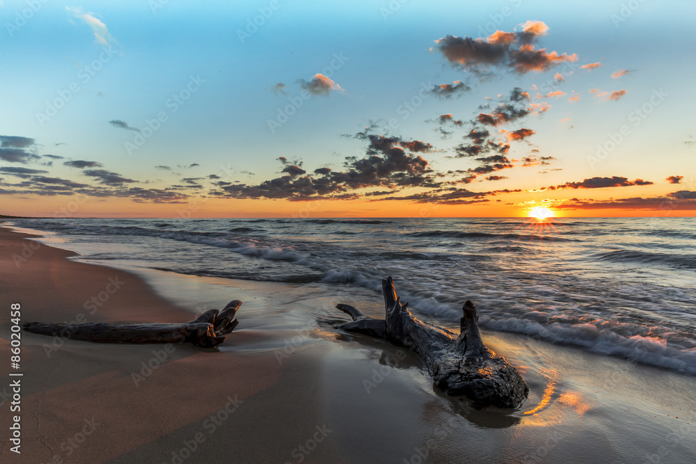 Obraz premium Driftwood on a Lake Huron Beach at Sunset