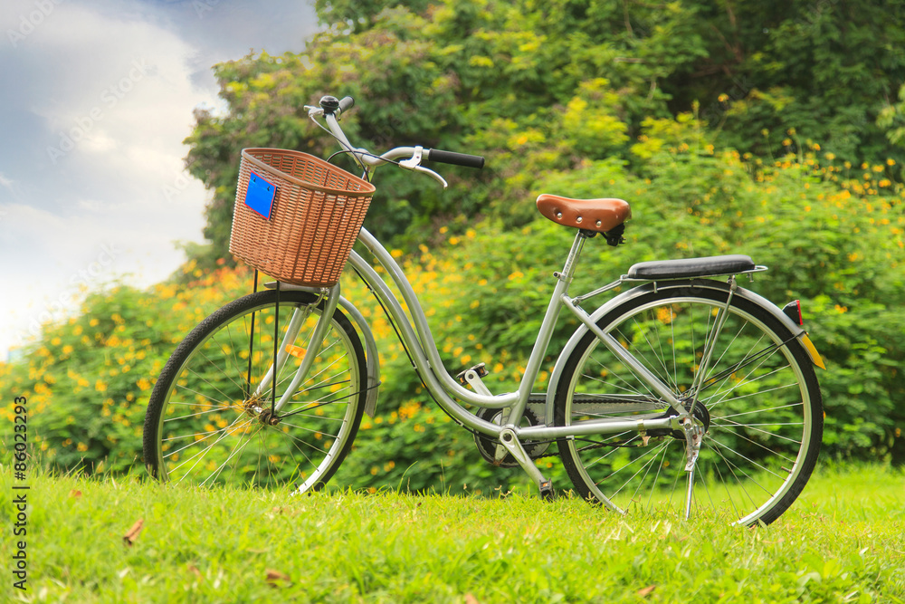 Fototapeta premium Bicycles in the park