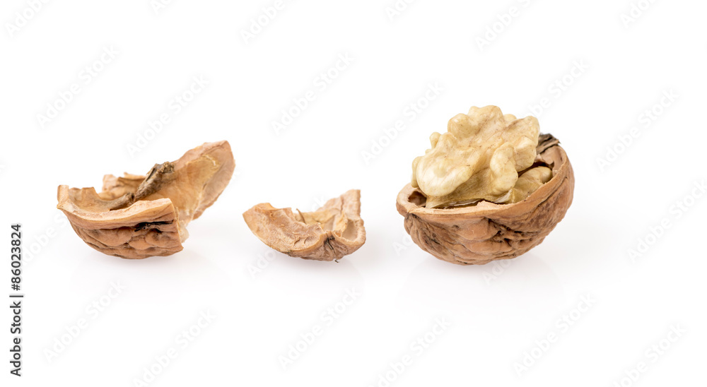 Cracked walnut isolated on white background Cracked walnut isolated on white background