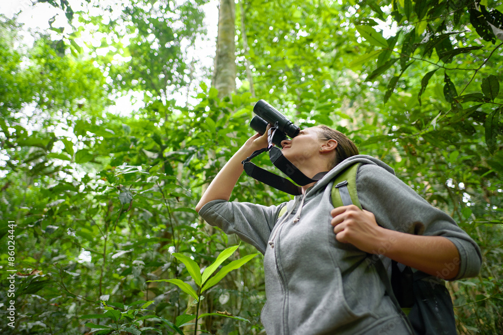 Tourist looking through binoculars considers wild birds in the j Tourist looking through binoculars considers wild birds in the j