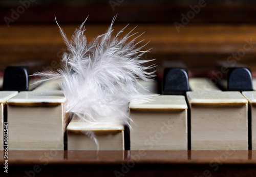 Light Music. Feather pushing piano key