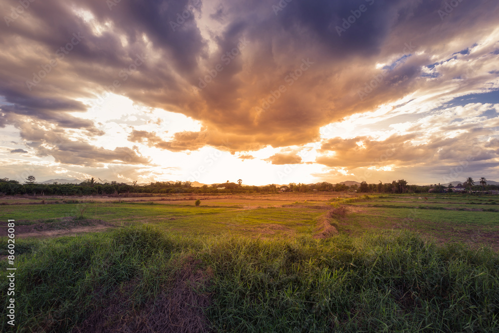 fiela agriculture and beautiful sunset