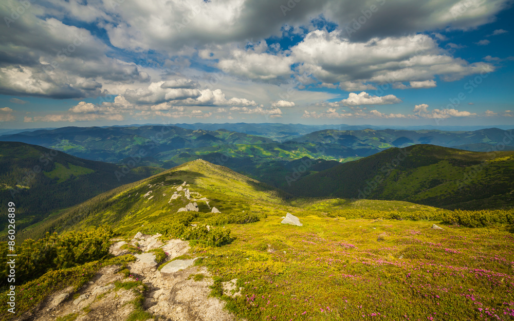 Naklejka premium Beautiful mountains landscape in Carpathian