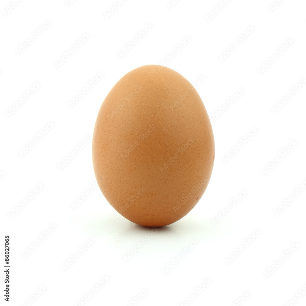 raw of egg isolated on white background raw of egg isolated on white background