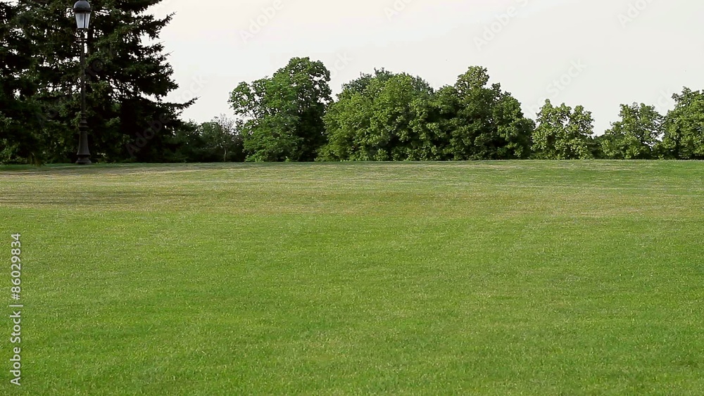 Four children are playing on the glade. They are jumping and laughing. Four children are playing on the glade. They are jumping and laughing.