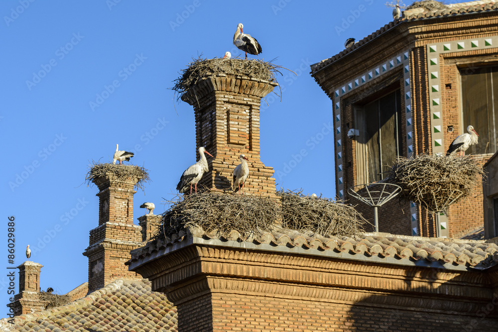 Obraz premium Storks in San Miguel Collegiate Church, Alfaro (Spain)