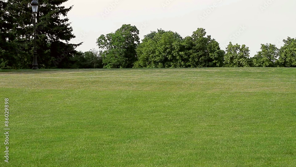 Four children are playing on the glade. Kids jumping and laughing. Four children are playing on the glade. Kids jumping and laughing.