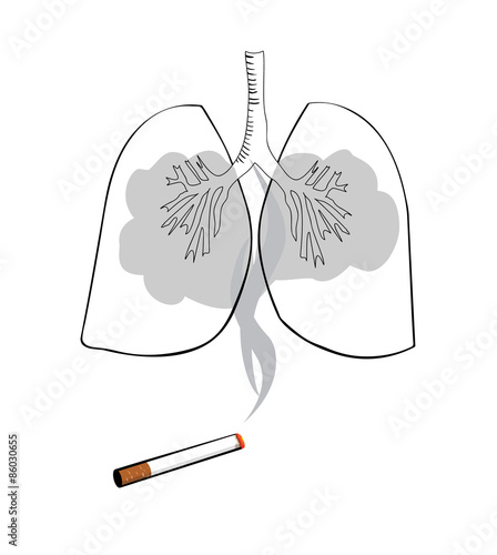 Vector drawing of a cigarette with smoke filling lungs